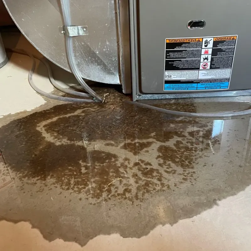 Pipe Burst and Leak Restoration in West Gate, VA