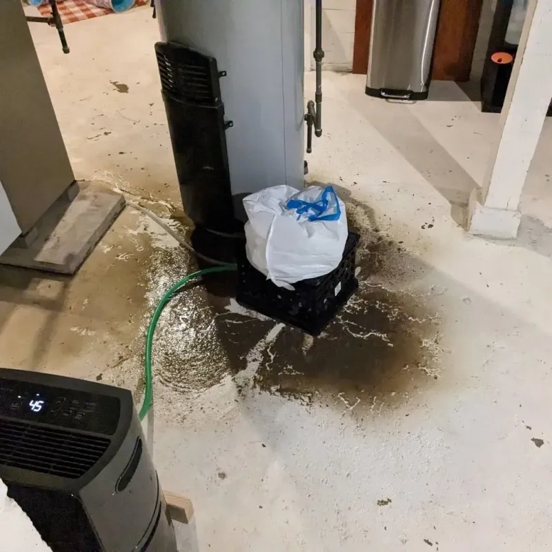 Sewage Backup Cleanup Service in West Gate, VA